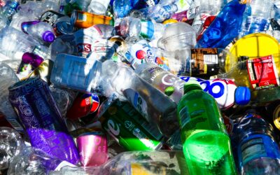 Aprobación modelos del Impuesto sobre los Envases de Plástico No Reutilizables